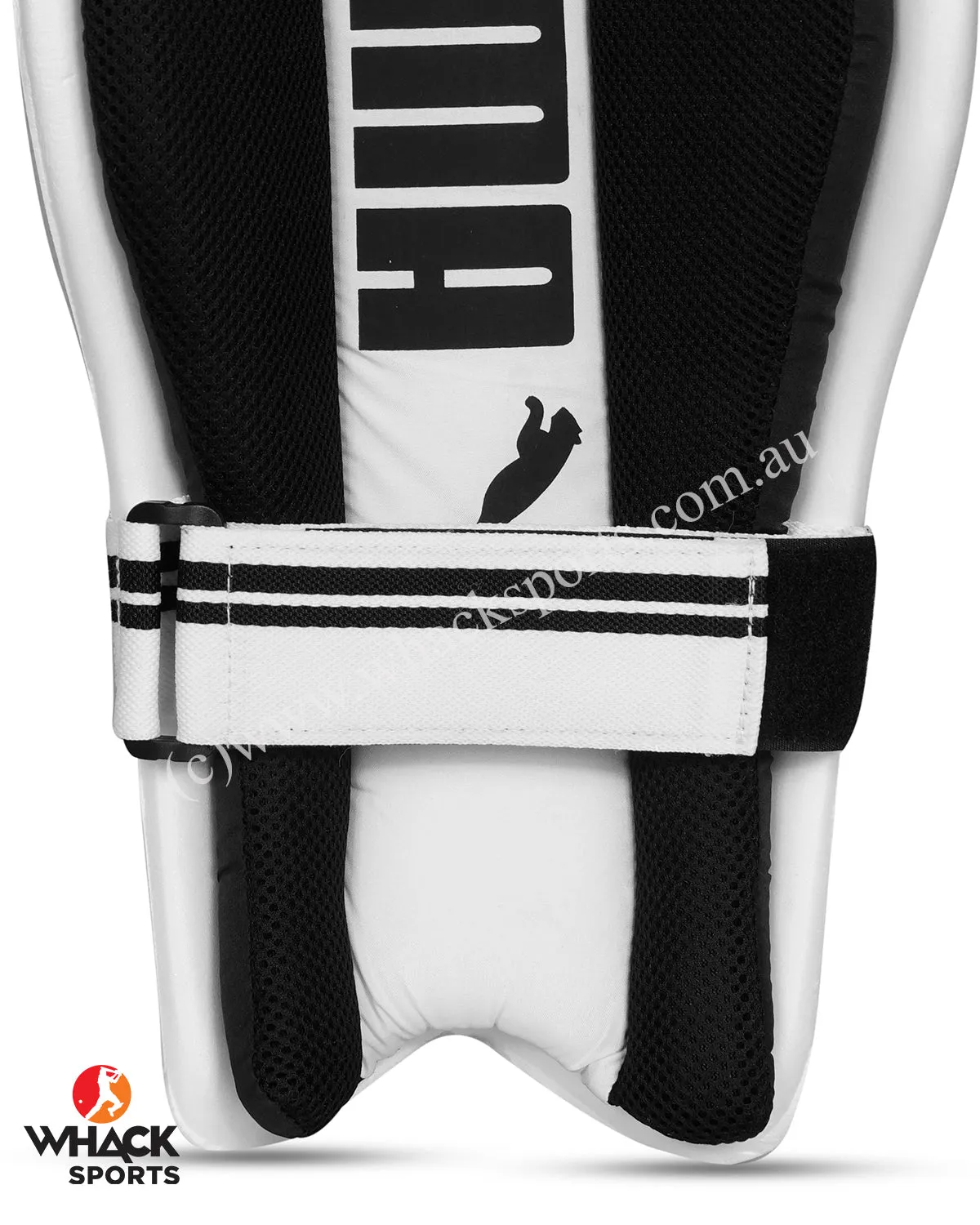 Puma Future 3.1 Cricket Batting Pads - Adult